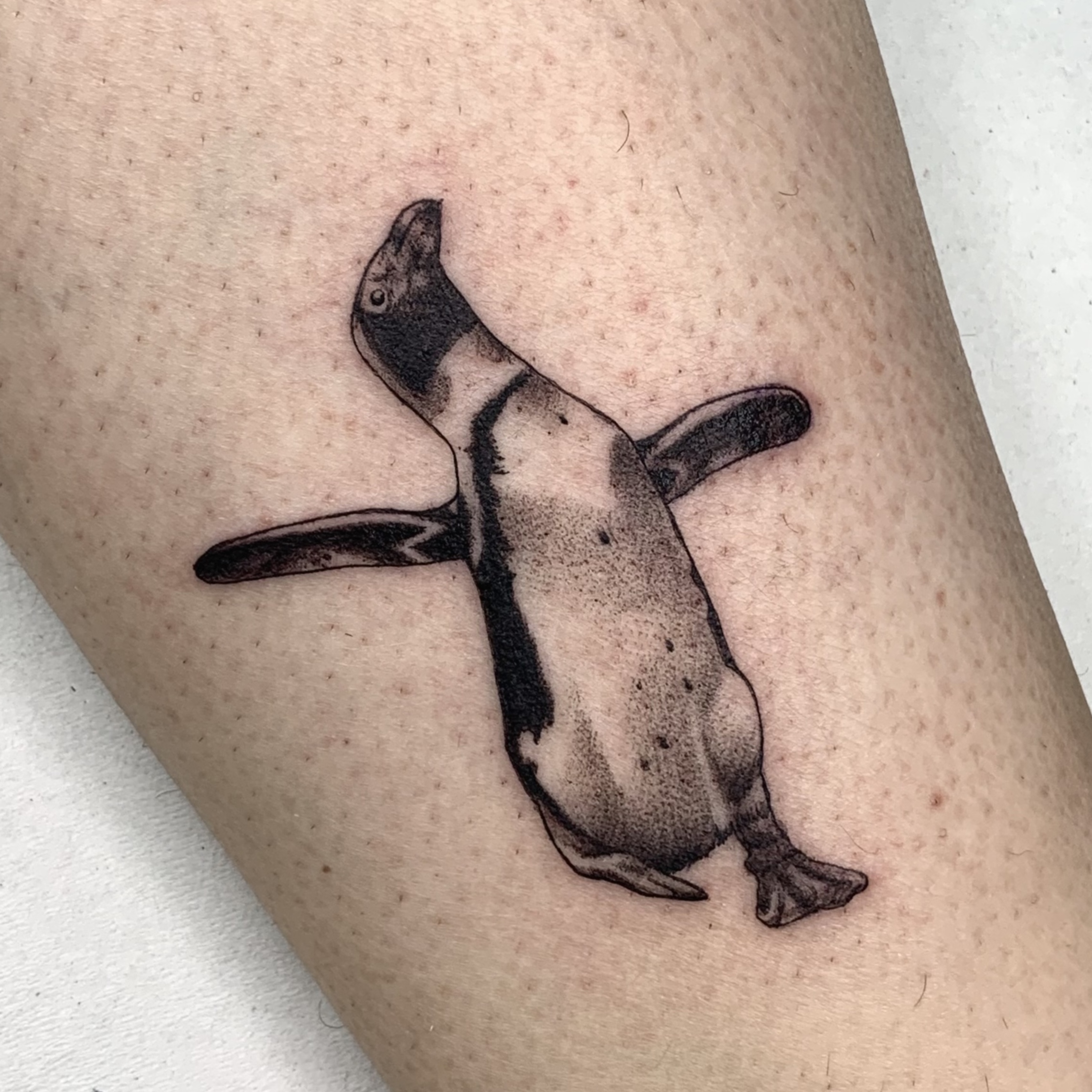 Tattoo tatuaje animal pinguino feliz microrealismo en Madrid